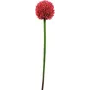 EUROPALMS stelo di allium artificiale, rosso, 55 cm 82530568