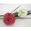 EUROPALMS stelo di allium artificiale, rosso, 55 cm 82530568