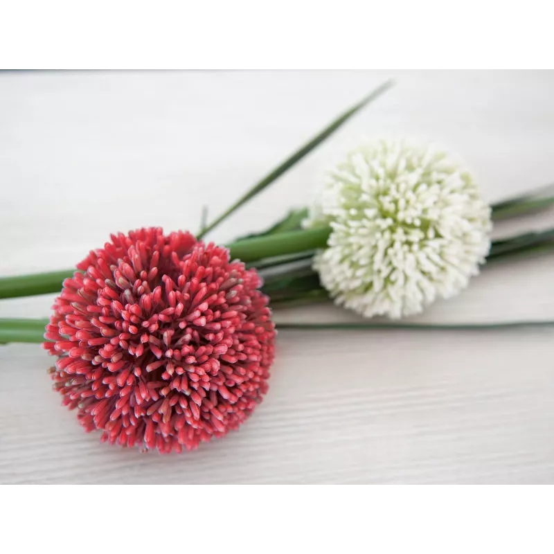 EUROPALMS stelo di allium artificiale, rosso, 55 cm 82530568