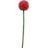 EUROPALMS stelo di allium artificiale, rosso, 55 cm 82530568