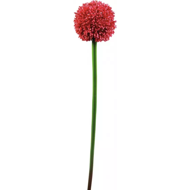 EUROPALMS stelo di allium artificiale, rosso, 55 cm 82530568