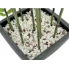 EUROPALMS bambù artificiale in vaso decorativo, 120 cm 82509261