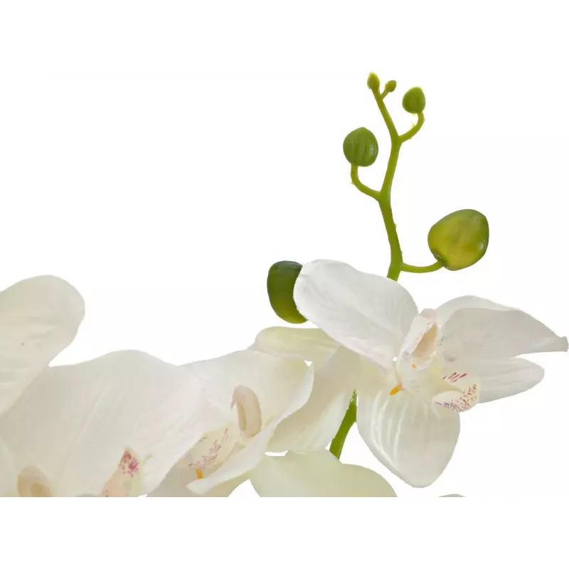 EUROPALMS orchidea pianta artificiale, crema, 80 cm 82530361