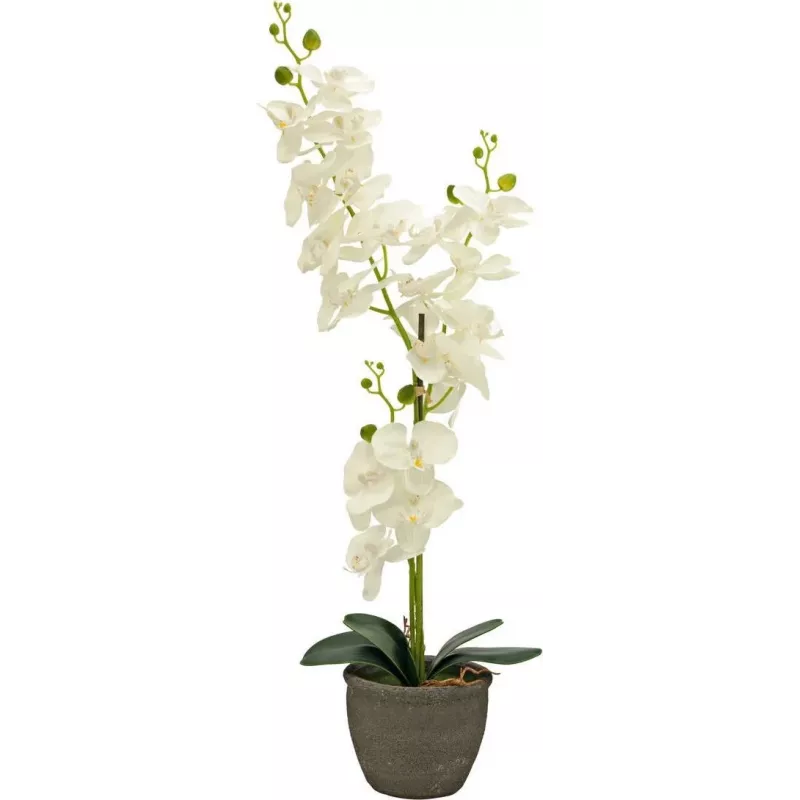 EUROPALMS orchidea pianta artificiale, crema, 80 cm 82530361