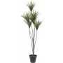 EUROPALMS pianta artificiale di palma yucca, 130 cm 82511552