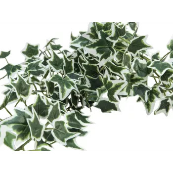 EUROPALMS Holland Ivy Bush Screen Classic, artificiale, 70cm 82502211