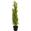 EUROPALMS pianta artificiale cipresso Leyland, 90cm, vaso nero 82606962
