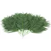 EUROPALMS fronde di palma da cocco artificiali, 80 cm, set da 12 pezzi 82509895