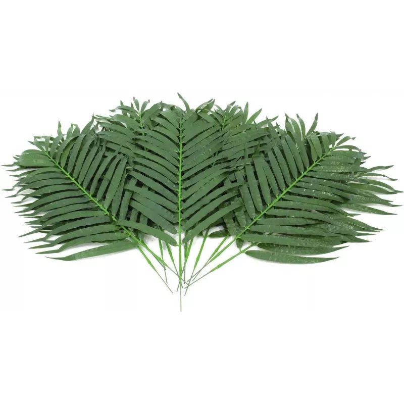 EUROPALMS fronde di palma da cocco artificiali, 80 cm, set da 12 pezzi 82509895