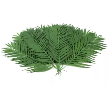 EUROPALMS fronde di palma da cocco artificiali, 90 cm, 12 pezzi, verde 82509896