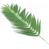 EUROPALMS fronde di palma da cocco artificiali, 90 cm, 12 pezzi, verde 82509896
