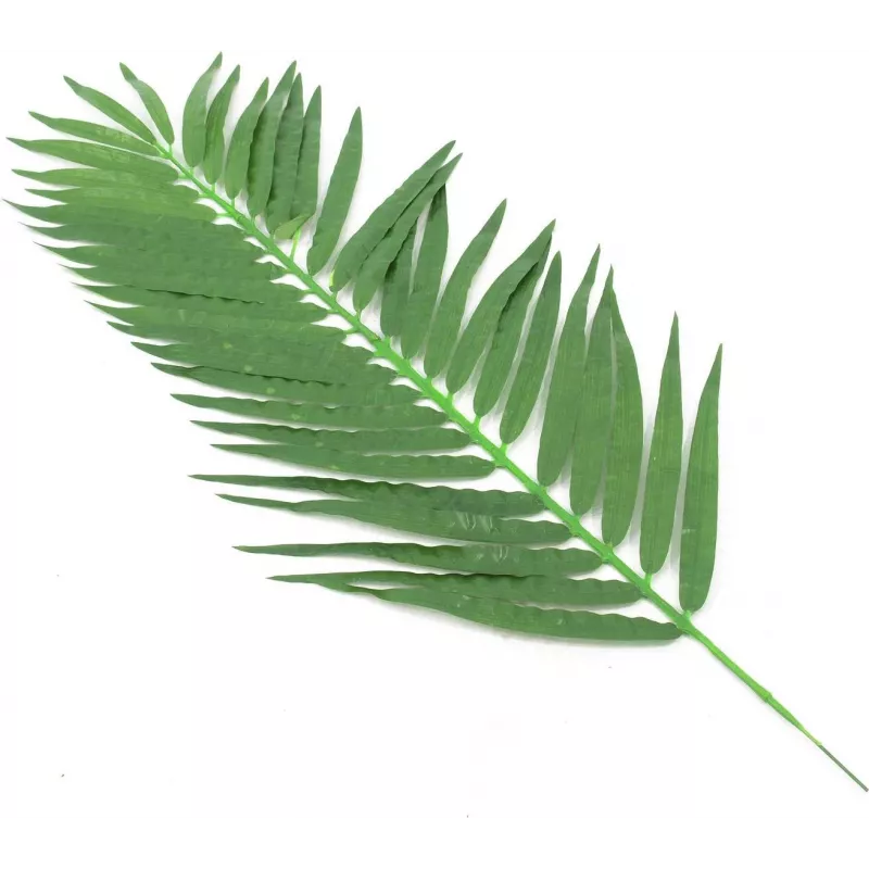 EUROPALMS fronde di palma da cocco artificiali, 90 cm, 12 pezzi, verde 82509896