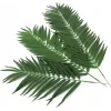 EUROPALMS fronde di palma da cocco artificiali, 90 cm, 12 pezzi, verde 82509896