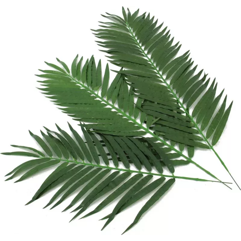 EUROPALMS fronde di palma da cocco artificiali, 90 cm, 12 pezzi, verde 82509896