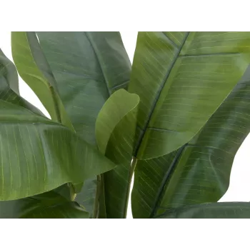EUROPALMS albero di banane artificiale, 120cm, foglie verdi realistiche, vaso nero 82509537