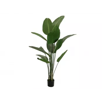 EUROPALMS Strelitzia artificiale, 170 cm 82540523