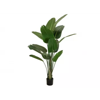 EUROPALMS Strelitzia artificiale, 170 cm 82540523