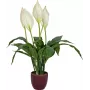 EUROPALMS spatifillo artificiale, 60 cm 82505660