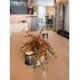 EUROPALMS Ramo di eucalipto artificiale, arancione, 110 cm 82505621