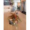 EUROPALMS Ramo di eucalipto artificiale, arancione, 110 cm 82505621