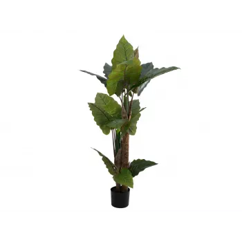 EUROPALMS Pianta artificiale Alocasia, 140 cm, verde, vaso nero 82508464