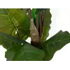 EUROPALMS Pianta artificiale Alocasia, 140 cm, verde, vaso nero 82508464