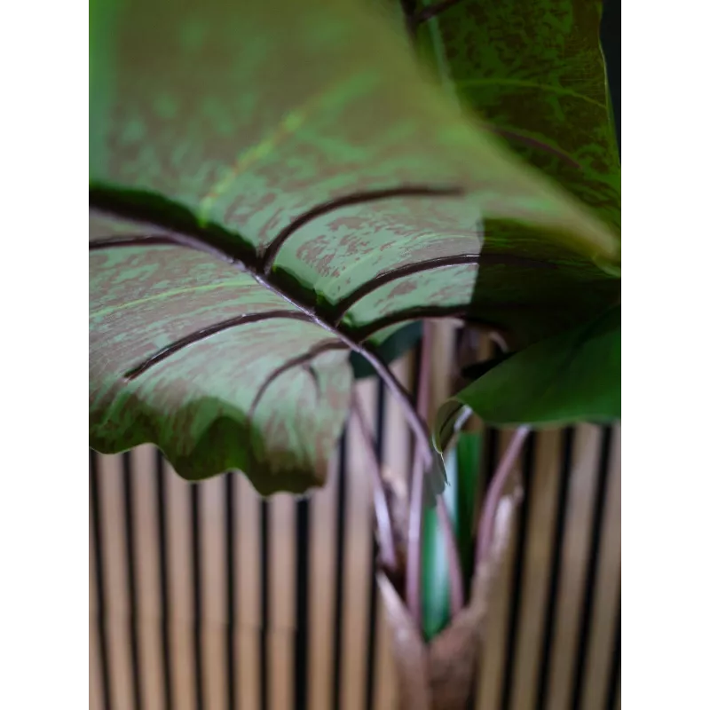 EUROPALMS Pianta artificiale Alocasia, 140 cm, verde, vaso nero 82508464