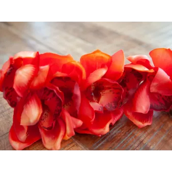 EUROPALMS Ramo di Cymbidium, artificiale, rosso, 90 cm (82530315)
