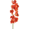 EUROPALMS Ramo di Cymbidium, artificiale, rosso, 90 cm (82530315)