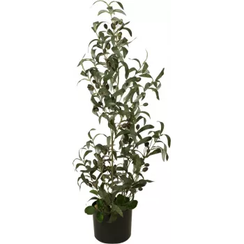 EUROPALMS Olivo artificiale, 90 cm 82506422