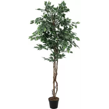 EUROPALMS Ficus benjamina argento pianta artificiale, 180 cm 82506116