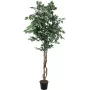 EUROPALMS Ficus benjamina argento pianta artificiale, 180 cm 82506116