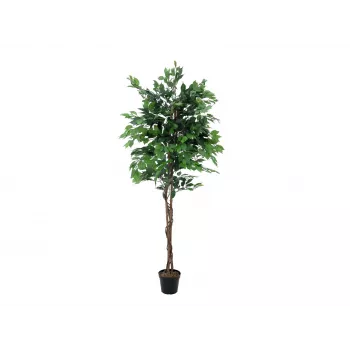EUROPALMS Ficus Benjamina pianta artificiale a più fusti, 210 cm 82506127
