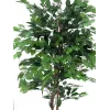 EUROPALMS Ficus Benjamina pianta artificiale a più fusti, 210 cm 82506127