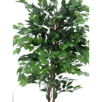 EUROPALMS Ficus Benjamina pianta artificiale a più fusti, 210 cm 82506127