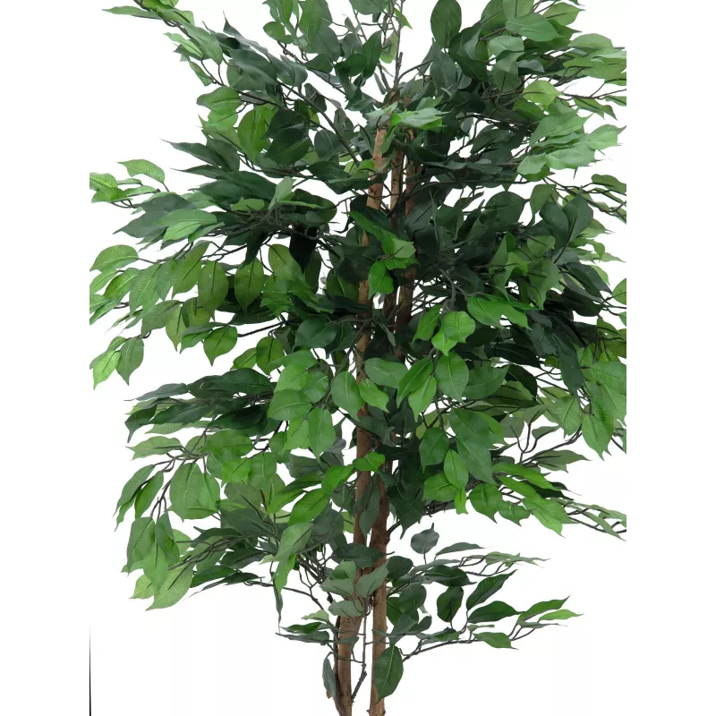 EUROPALMS Ficus Benjamina pianta artificiale a più fusti, 210 cm 82506127
