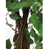 EUROPALMS Ficus Benjamina pianta artificiale a più fusti, 210 cm 82506127