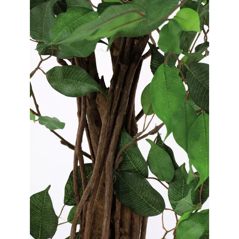 EUROPALMS Ficus Benjamina pianta artificiale a più fusti, 210 cm 82506127