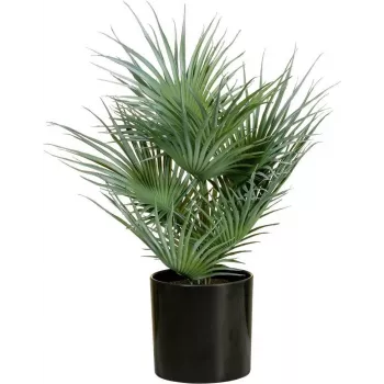 EUROPALMS Palma da ventaglio artificiale in vaso, 55 cm 82509401