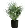 EUROPALMS Palma da ventaglio artificiale in vaso, 55 cm 82509401