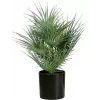 EUROPALMS Palma da ventaglio artificiale in vaso, 55 cm 82509401
