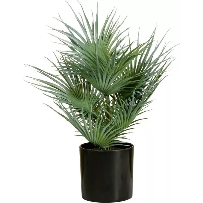 EUROPALMS Palma da ventaglio artificiale in vaso, 55 cm 82509401