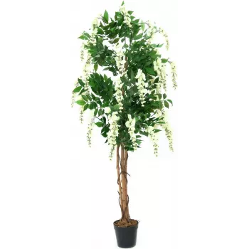 EUROPALMS Pianta artificiale Goldregen, bianco, 150 cm (82507105)
