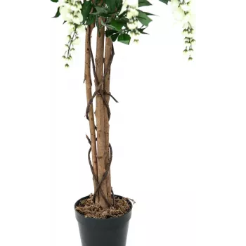EUROPALMS Pianta artificiale Goldregen, bianco, 150 cm (82507105)