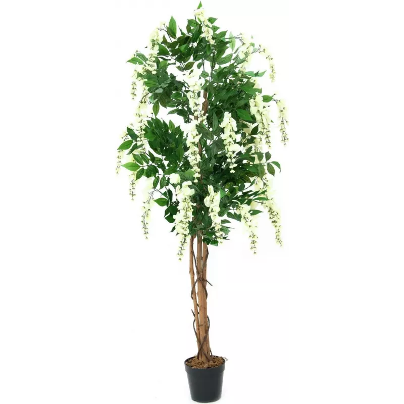 EUROPALMS Pianta artificiale Goldregen, bianco, 150 cm (82507105)