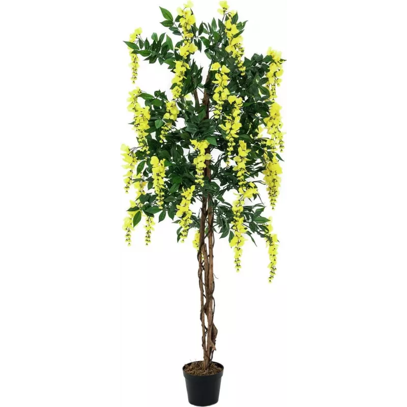 EUROPALMS Pianta artificiale Goldregen, giallo, 150 cm 82507115