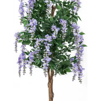 EUROPALMS Albero Goldregen artificiale, fiori viola, 180 cm 82507136