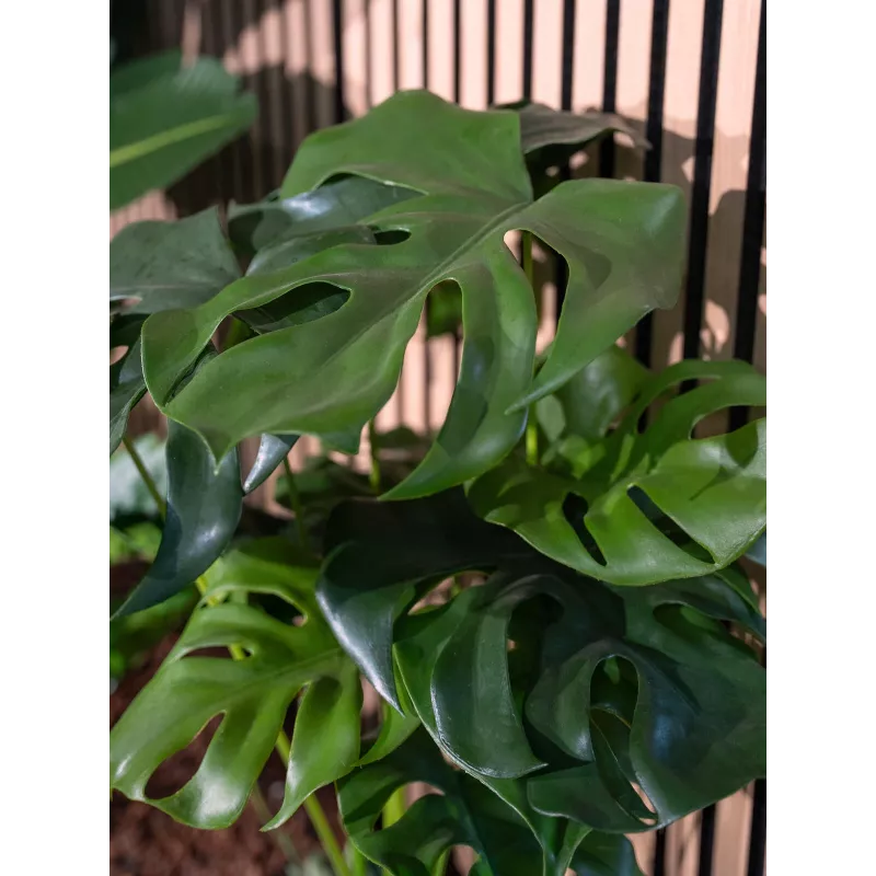EUROPALMS Pianta artificiale Monstera deliciosa, 90 cm 82600220