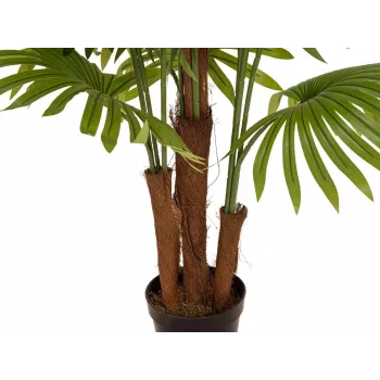 EUROPALMS Palma da ventaglio artificiale, 165 cm 82509305