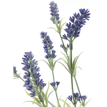 EUROPALMS Cespuglio di lavanda, artificiale, 61 cm 82600231
